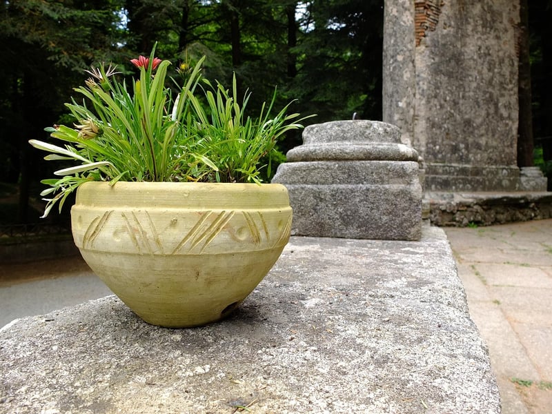 Hanging Planters